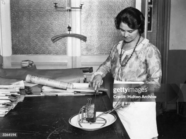 Demonstration of carving with the new meat-clamp designed for carving the most awkward joints or a round of beef.