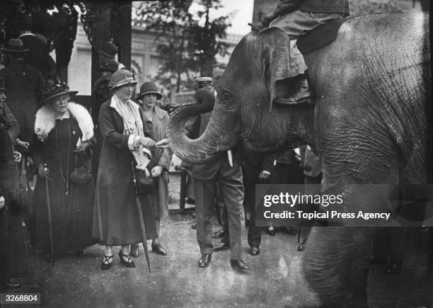 Queen Ena of Spain on a visit to Wembley stops to feed an elephant.