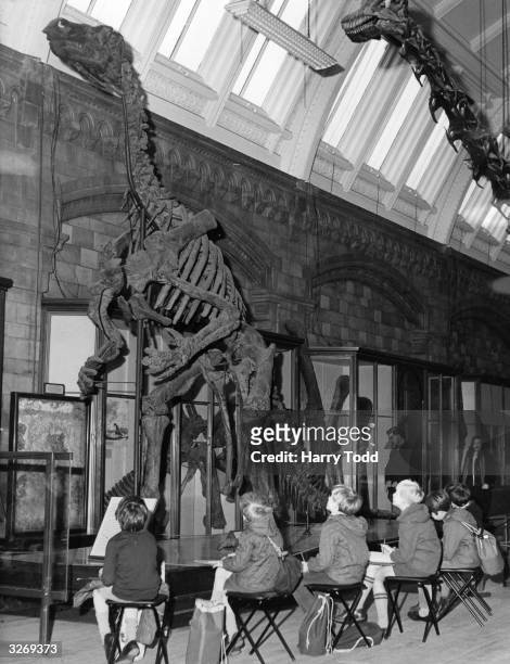 Members of the 'Young Explorers', a group organised by the British Wildlife Society, sketching a skeleton of the Iguanodon dinosaur at the Natural...