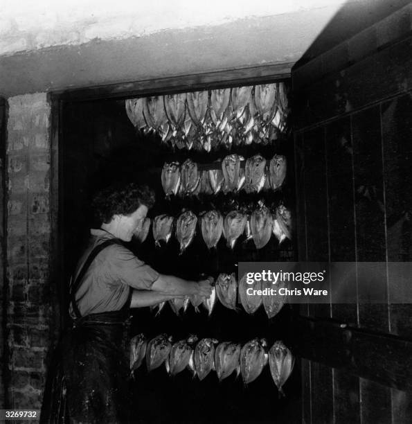Kipper Method Kipper Fish Photos and Premium High Res Pictures - Getty Images