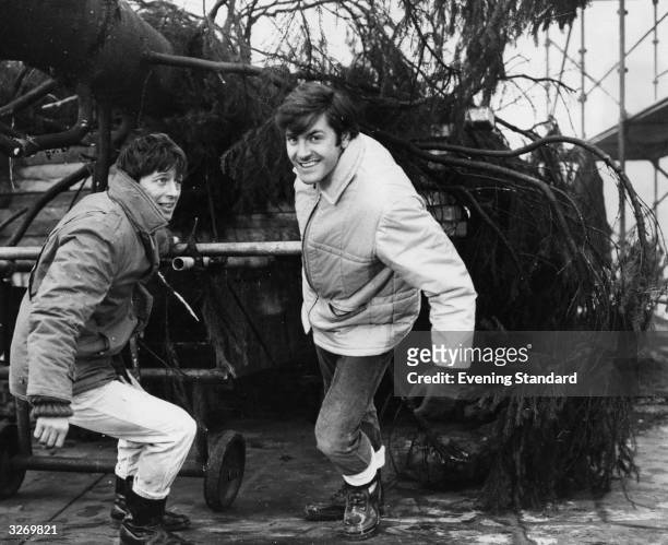 S 'Blue Peter' presenters Joan Noakes and Peter Purves pulling the Christmas tree to be erected in Trafalgar Square, which is traditionally donated...