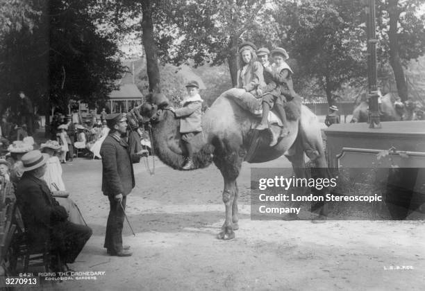 Riding the dromedary camel in London Zoo, Regent's Park.