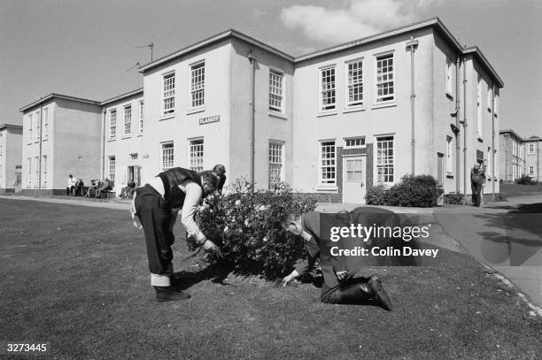 Gardening therapy for the high risk mental patients of Runwell hospital near Wickford, Essex.