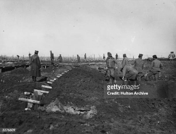 Soldiers digging trenches and erecting wire entanglement at Belgrade on the Eastern Front.