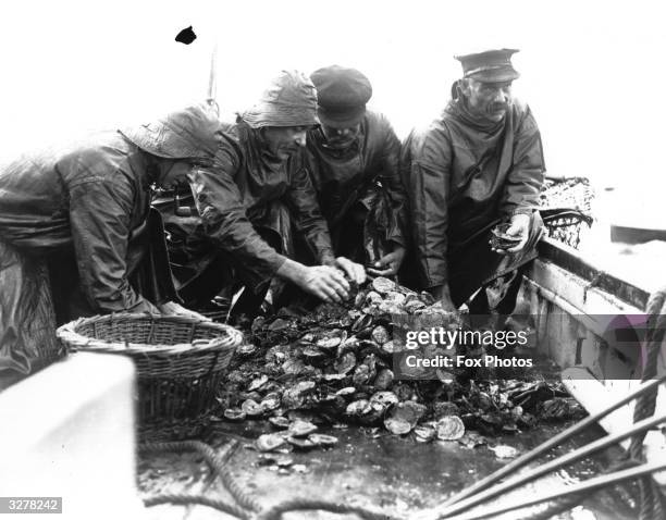 Fishermen sorting their catch of oysters at Whitstable, Kent.