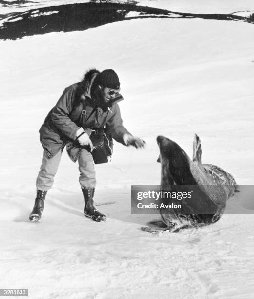 An American biologist tapes a seal's voice in the Antarctic.