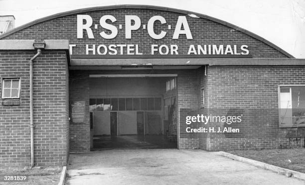 The RSPCA hostel for animals at Heathrow airport.