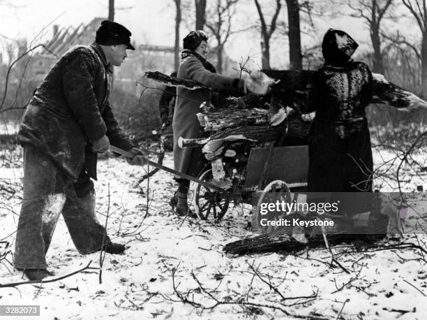 Men and women collect logs from felled trees in the Tiergarten in Berlin for fuel, during the winter following defeat in World War II, and in...
