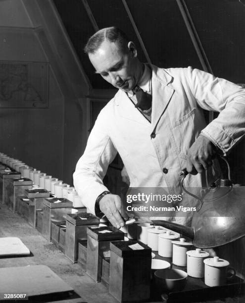 Testing Tea Pot 2,282 Tea Testing Stock Photos, High-Res Pictures, and Images - Getty ...