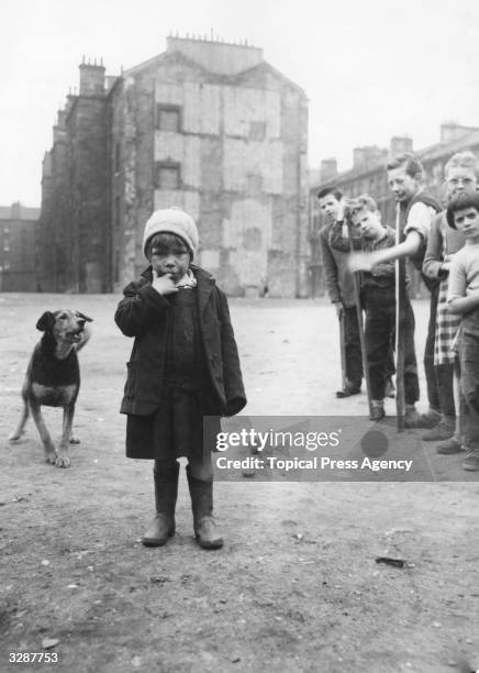 Dog barks at a girl in the Surrey Lane area of the Gorbals, Glasgow. The Gorbals tenements were built quickly and cheaply in the 1840s, providing...