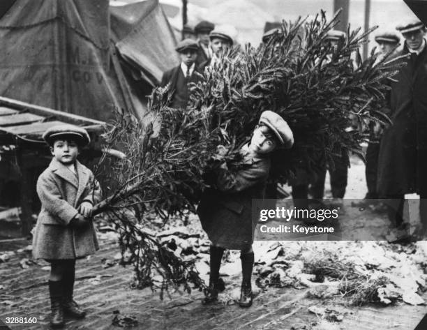 Two little boys dragging home their Christmas tree after choosing it at London's Covent Garden Market.