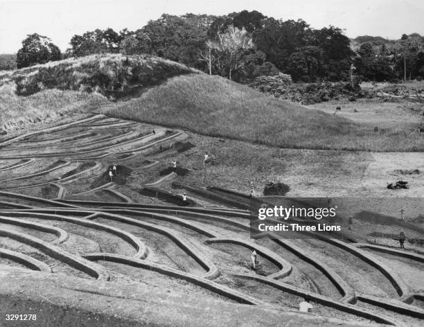 View of Indonesian farmland.