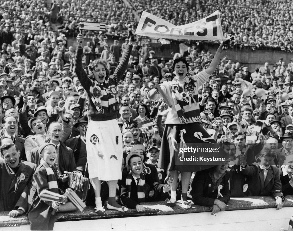 media.gettyimages.com/id/3292647/photo/forest-fans.jpg?s=1024x1024&w=gi&k=20&c=TsAXmqBJ6QK89f15_o-0UYiDYISAxutgz-d8vgyhKxM=