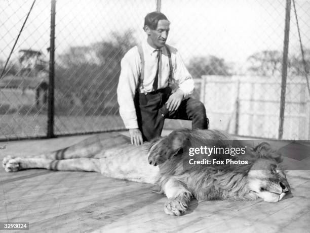 Blick the lion tamer at work at Chessington Zoo, during a special demonstration with Rabin the lion for the film 'What The Stars Foretell' which Mr...