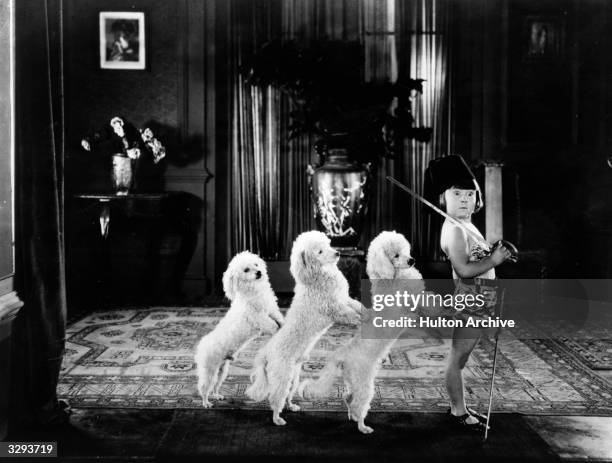 Child actress Mary Ann Jackson leads a troupe of performing poodles in a scene from the Mack Sennett series entitled 'The Jimmy Smiths'.