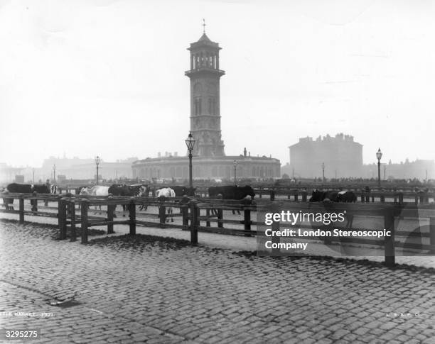 Islington Cattle Market Photos And Premium High Res Pictures Getty Images 1832699-we-ve-got-english-willa10-liveworksheets