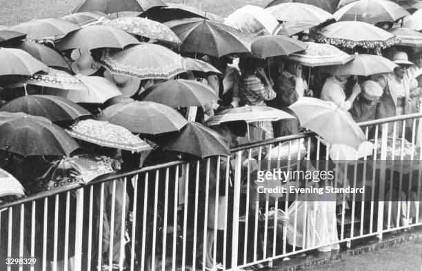 Sea of umbrellas at a wet Ascot horse race meeting.