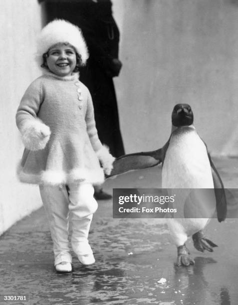 Scottish child actress, Binkie Stuart hand in hand with a penguin during a visit to London Zoo, 15th April 1937.