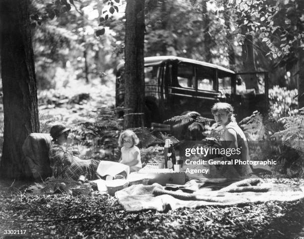 Family picnicking in the woods near Balcombe, West Sussex.