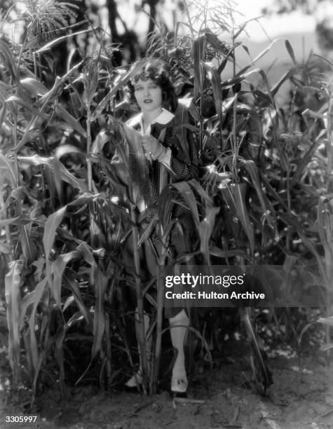 Corinne Griffith the Hollywood film star and actress, signed by First National Pictures stands amongst the sweetcorn growing in her garden in Beverly...