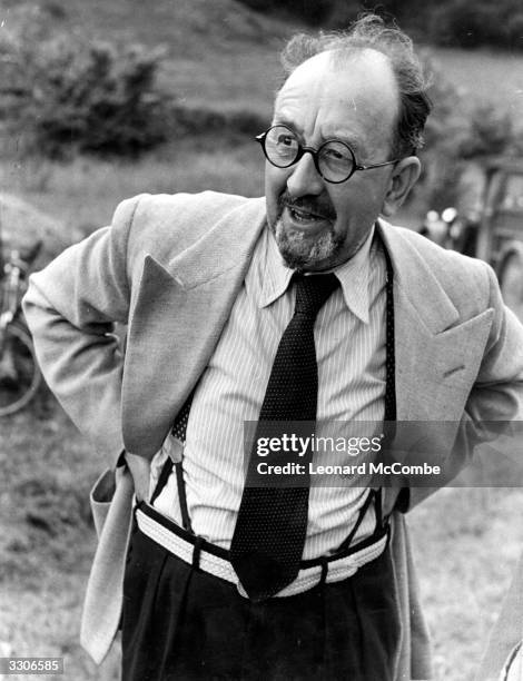 35 Strawberry Roan Stock Photos, HighRes Pictures, and Images Getty