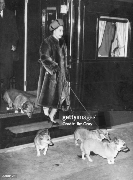 Queen Elizabeth II alighting from the royal train at Liverpool Street Station, London with four of her pet corgis.