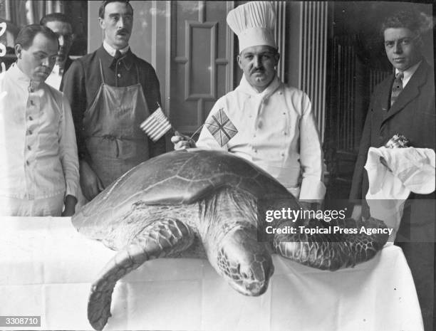 Chef with the turtle he is going to use for a special soup for Independence day celebrations.