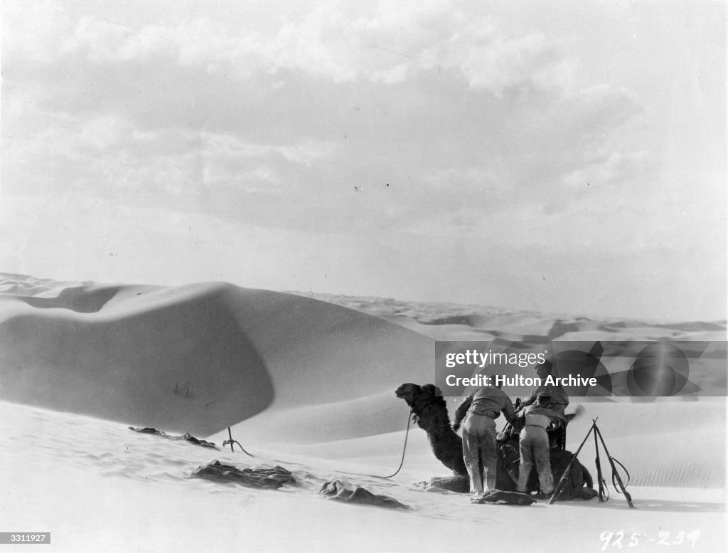 Desert Transport