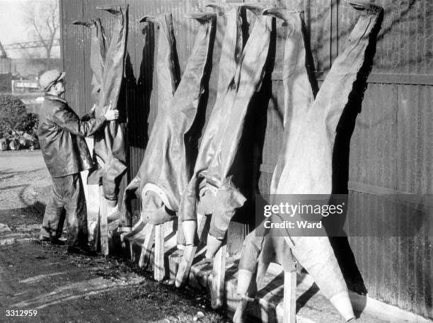 Man hanging diving suits out to dry at Gillingham pier.