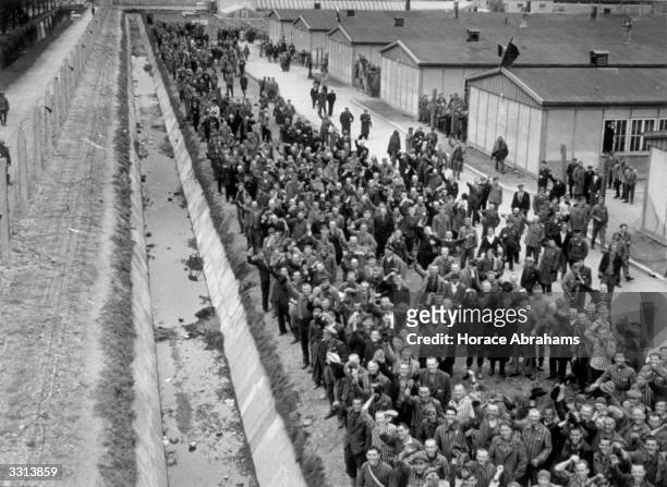 Some of the thousands of prisoners at Dachau concentration camp cheer as they see the Americans of the 7th Army arriving to liberate the camp. These...