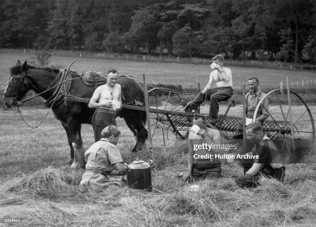 Haymaking