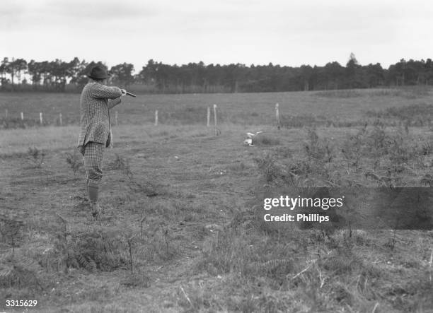 Mr Burroughs shooting a hare on Sir Fellowes' pheasant shoot at Honingham Hall.