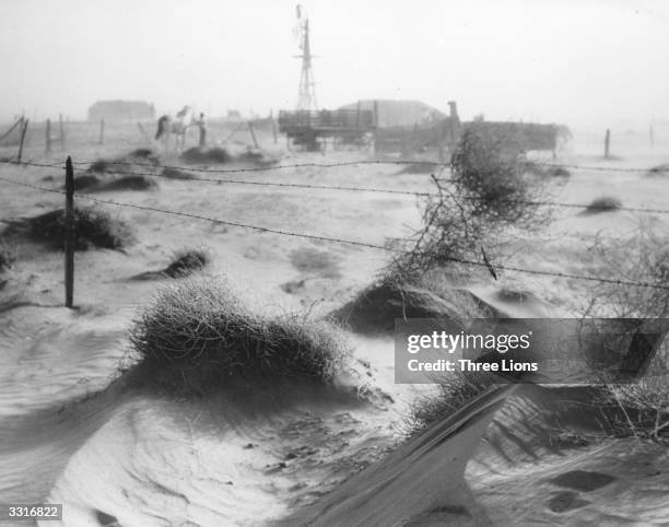 Dust bowl farmstead in Dallam County, Texas, showing the desolation produced by the dust and wind on the countryside adding to the problems of the...