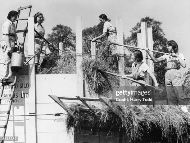 Landgirls forking silage into a silo to demonstrate to farmers the efficiency of the Women's Land Army.