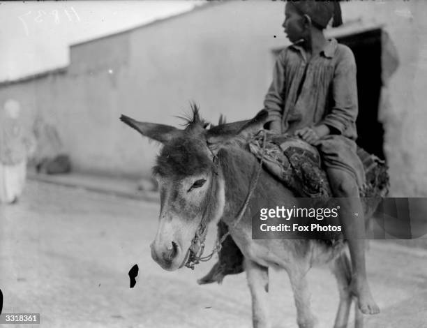 Boy on a donkey in street in Biskra.