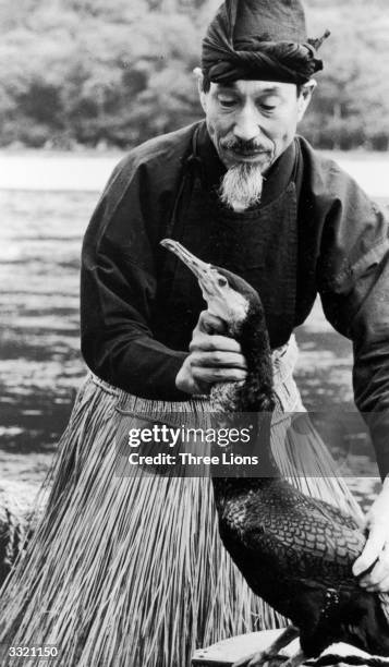 Seventeenth generation Japanese Master of Cormorant stands with one of his birds by the Nagara River in Gibu, Japan. The birds are used for fishing.