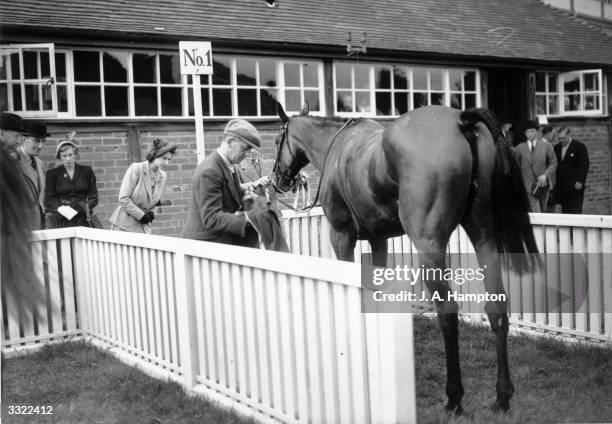 Princess Elizabeth inspects her steeplechaser Monaveen which she owns in partnership with her mother, after its first win wearing her colours at...