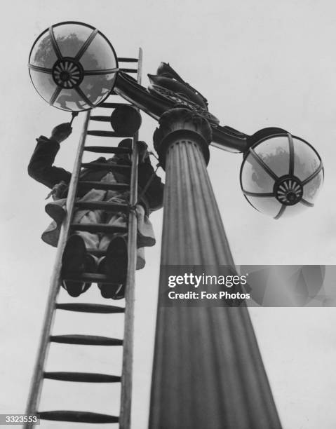 Lamp standard being cleaned in the Mall in London in preparation for the wedding of the Duke of Kent to Princess Marina of Greece.