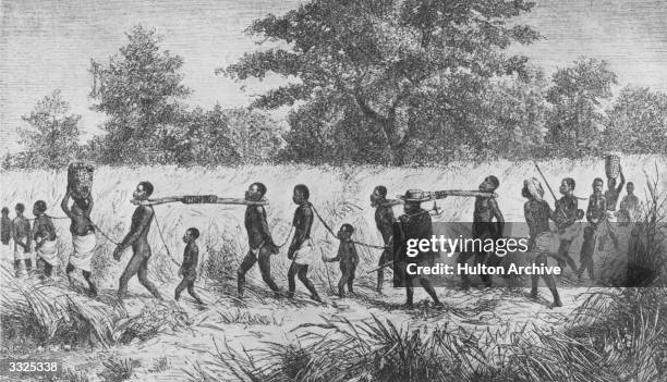 Walking through the bush, children and adults in a slave chain gang, shackled by their necks and hands. An overseer with a gun walks beside them....