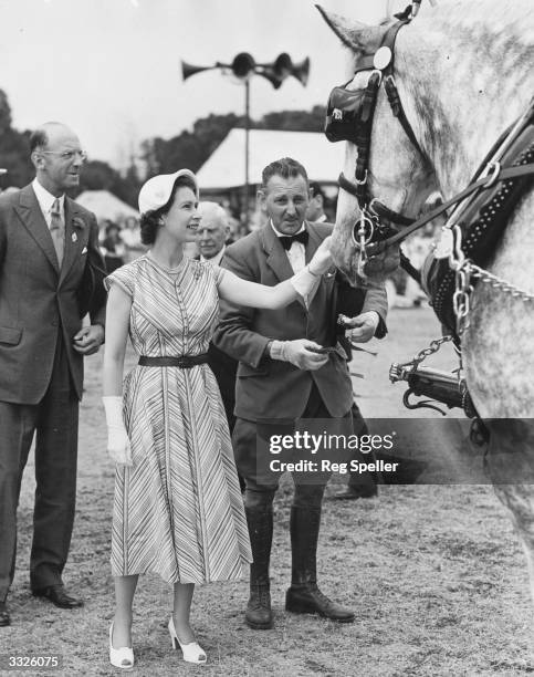 Her Majesty the Queen admires a horse at the Royal Windsor Horse Show.