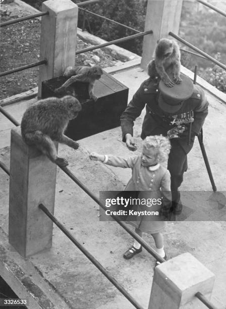 Young Princess Anne and her escorting officer play with the famous barbary apes, tailless monkeys of the macaque family, on a visit to Gibraltar.