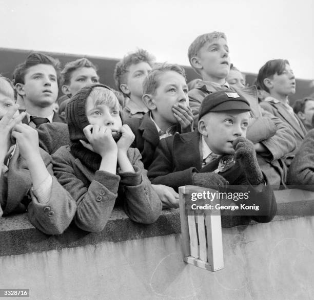 Football Fan With Rattle 281 Football Rattle Stock Photos, High-Res Pictures, and Images - Getty ...