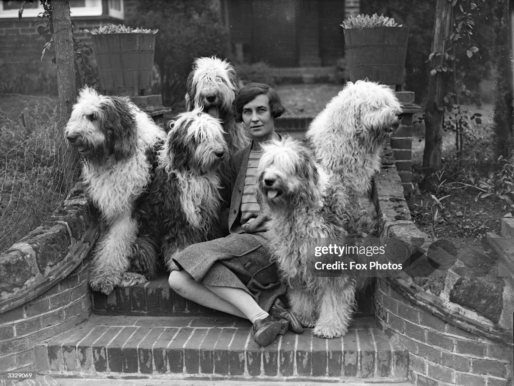 Surrounded By Dogs