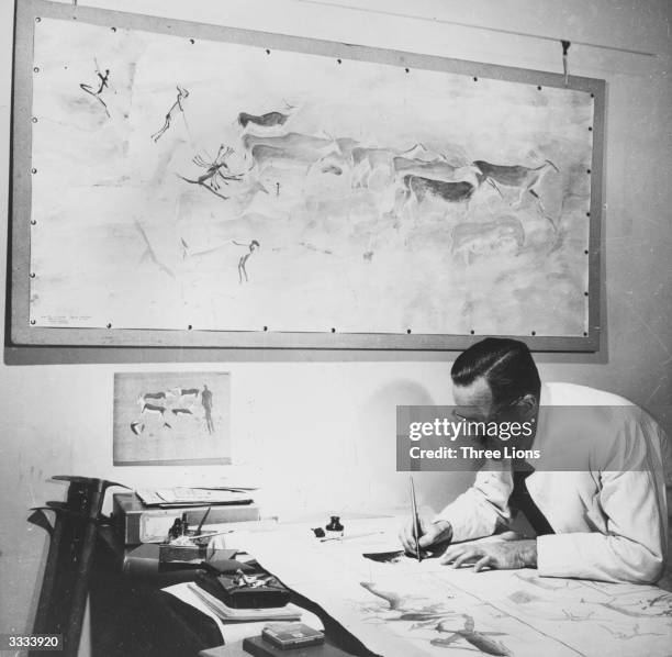 Professor van Riet Lowe retracing his preliminary copies of Bushman paintings in his office in South Africa. The large work on the wall is a...