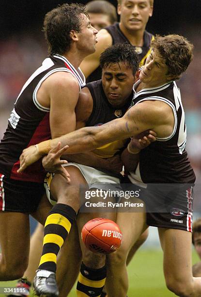 David Rodan 70 Stephen Rodan Stock Photos, High-Res Pictures, and Images - Getty Images