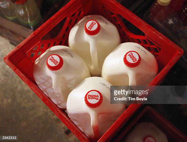 Containers of milk are seen in the cooler of a convenience store April 12, 2004 in Chicago, Illinois. Agriculture experts say consumers could pay as...