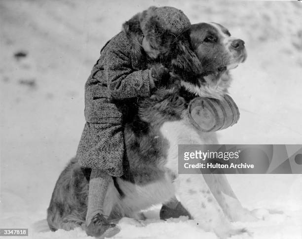 Small child hugging a large St Bernard dog in the snow.