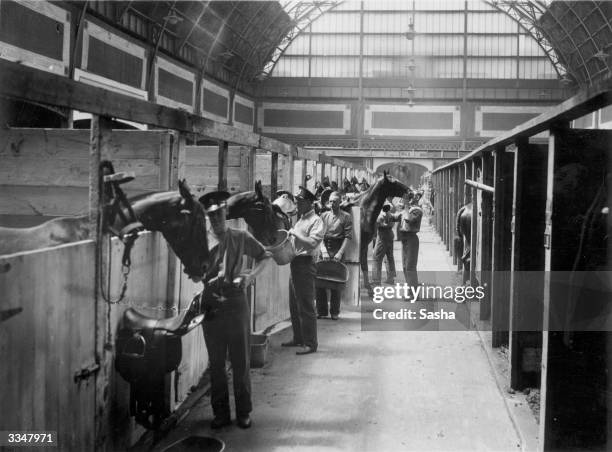 Grooms tend to the horses in the stables made available for the International Horse Show in Olympia, London.