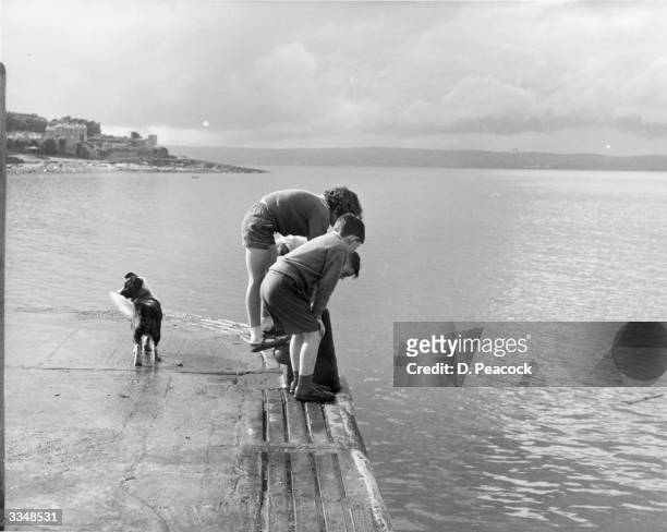 Group of children looking into the water at the harbour at Bangor in County Down.