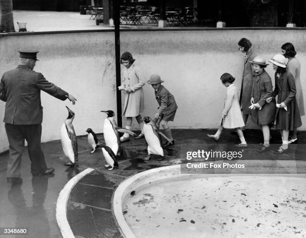 Princesses Elizabeth and Margaret visit the penguins at London Zoo with some young friends.
